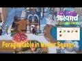 Foraging in Winter Season Locations CORA ISLAND
