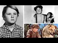 The Strange and Sad Ending of Kevin Corcoran