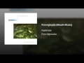 Fionnghuala (Mouth Music) - Nightnoise
