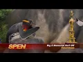 Surf's Up - Aloha Oe