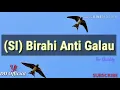 Download Lagu (SI) Birahi Anti Galau top #1Tranding #viral