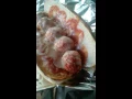 Gorging on Gola Osteria s meatball subs and Italian American grub