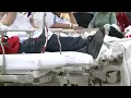 2 Your Health FDA ban on formaldehyde more patients dying from the flu