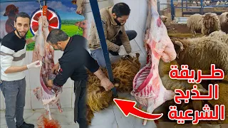 كيف تذبح الخاروف أو الغنم بالطريقة الشرعية الصحيحة خطوات بسيطة لضمان السلامة والحلال 