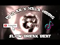 Download Lagu DJ ULAR X HALA HIDING [SLOW BREAK BEAT] REMIX