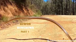 kiwon kububuwa part 1 august 14 2025