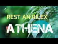 Lagu Music relaxasi athena (Rest and relax)
