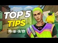 These 5 Gekko Tips Got Me Radiant