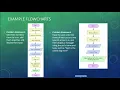 CIST 1305 Module 3