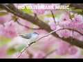 Download Lagu Silent Partner - Days Are Long