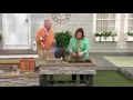 Ultimate Innovations Dirty Little Digger Tool on QVC