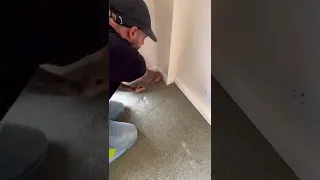 HOW TO REMOVE Old Carpet Like A Pro Diy Howto Shorts Carpet 