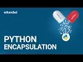 Python Encapsulation Python Object Oriented Programming Python Training Edureka
