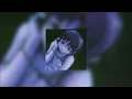 Download Lagu Bôa - Duvet (Speed up)
