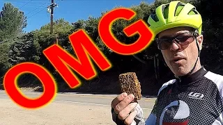 Clif Bars Pros and Cons