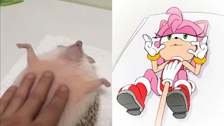 FUN Amy s relaxing tummy rubs by minus8