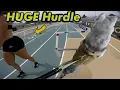 Entering My Siberian Husky In A Private Agility Course Disappointing CSUS Coaches