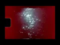 Jessica Pratt - "This Time Around" (Official Video)