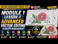 Wilcom Embroidery Course 2026 Module 1 - Lesson 4 Advanced Vector Editing Object Management