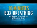 10 Minutes Box Breathing Relaxation Exercise Beginner Pace Anxiety Reduction Pranayama Technique