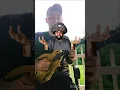Download Lagu How you should play a mandolin VS How people actually play the mandolin #mandolin #lesson #funny