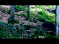 Feini - Was Zum Teufel ft. Mr Schnabel