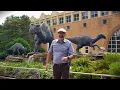 Atlanta s Natural History