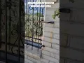Window bars must open for safety