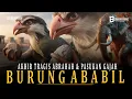 Download Lagu Tragic End of Abraha's Elephant Army which was Annihilated by Army of Birds Carrying the Hell Stone