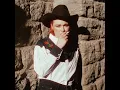Fake Cowboy
