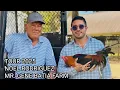 TOUR 2025 Noel Rodriguez Corral Gene Batia Beautiful Shape Outdoor Chicken Coop Big Farm USA