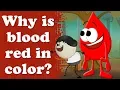 Why is blood red in color