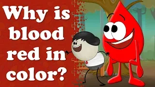 Why Is Blood Red In Color Aumsum Kids Science Education Children 