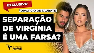 A VERDADE POR TRÁS DO 'DIVÓRCIO' DE VIRGINIA #ricardofeltrin