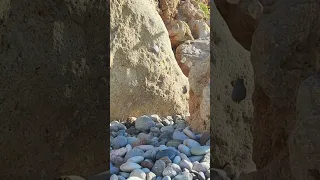 Epic Discoveries The Sound Of Falling Stones 