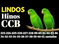 HINOS CCB 223-224-225-226-227-228-99-65-91-92-93-94-31-32-33-34-35-36-37-38-39-40-41-43-45 cantados