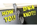 Dna key chain