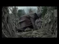 Download Lagu A Bruxa - Trailer Oficial
