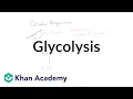 Overview of glycolysis Cellular respiration Biology Khan Academy