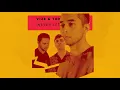 VIZE & Tom Gregory - Never Let Me Down (Visualizer) [Ultra Music]