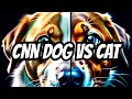 Image Classification Using CNN Keras Dogs vs Cats Classification