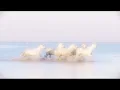 The Rolling Stones - Wild Horses