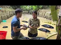 Download Lagu CEO Duong helpt Tu Ngoc bij de renovatie van een lang verlaten visvijver en is verrast