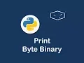 convert byte to binary string in python