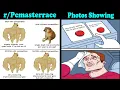 Daily juicy memes Funny Meme Photos Showing That Daily you laugh Funny Memes