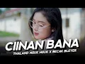 Download Lagu Ciinan Bana - Fauzana - DJ Topeng Remix