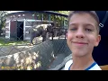 Zoo vrt Beograd