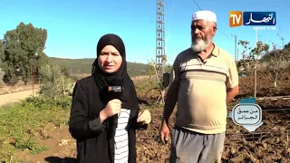 من عمق الجزائر الحاج جمال من التقاعد إلى الفلاحة قصة حب مع الأرض  من عمق الجزائر الحاج جمال من التقاعد إلى الفلاحة قصة حب مع الأرض