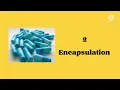 Encapsulation in java OOP Java Code Object Oriented Programming Online Learning