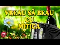 Download Lagu MUZICA DE PETRECERE – MITICA BLANDU SI FORMATIA ZORILE - VREAU SA BEAU CU MITICA